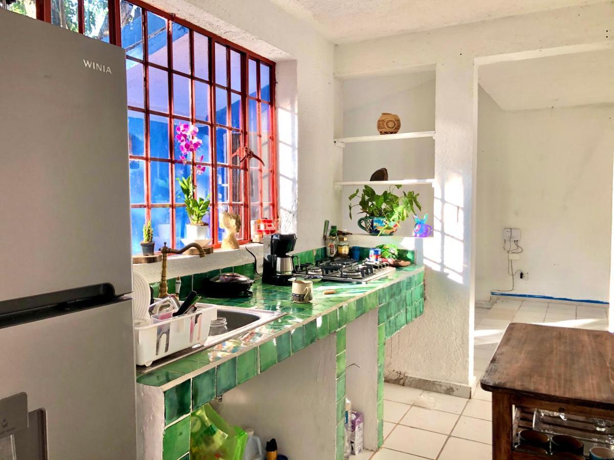 Casa Del Artista - B&B Плайя-дель-Кармен Екстер'єр фото