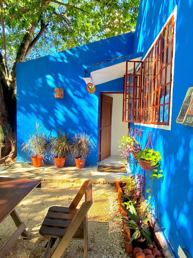 Casa Del Artista - B&B Плайя-дель-Кармен Екстер'єр фото