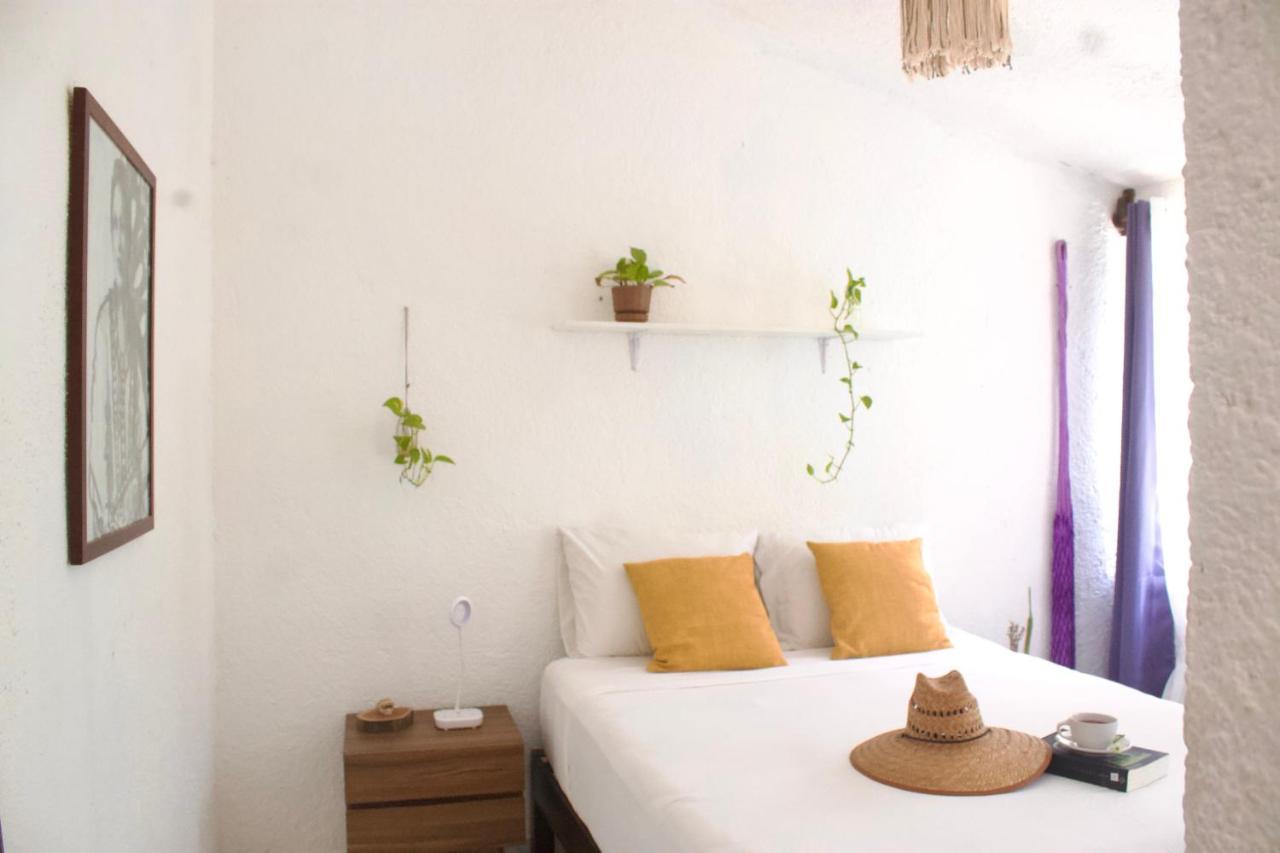 Casa Del Artista - B&B Плайя-дель-Кармен Екстер'єр фото